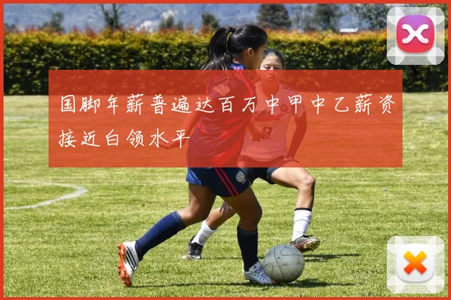 国脚年薪普遍达百万中甲中乙薪资接近白领水平