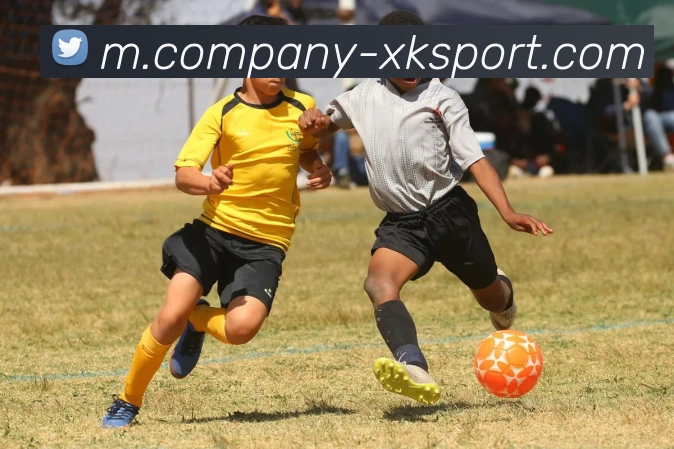 星空体育品牌故事