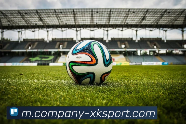 星空体育服务体系